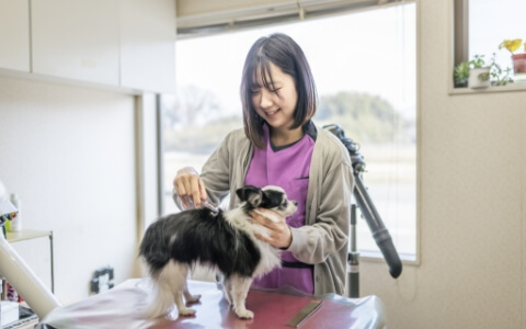 トリミングの様子